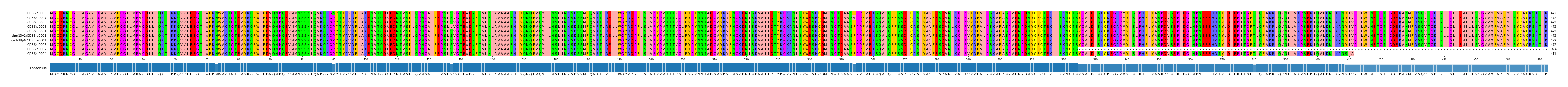 Multiple Alignments (by translate haplotype similarity)