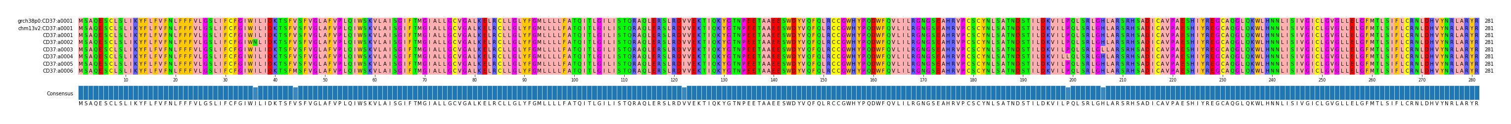 Multiple Alignments (by translate haplotype frequency)