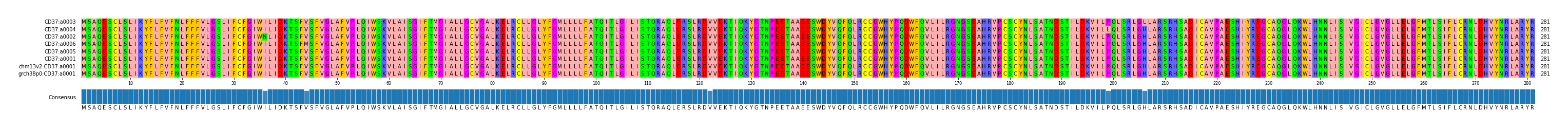 Multiple Alignments (by translate haplotype similarity)