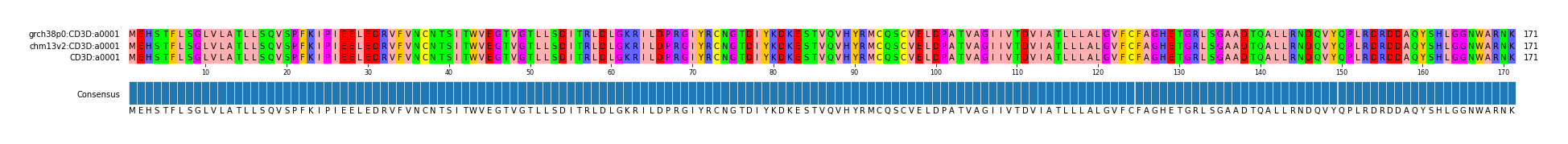 Multiple Alignments (by translate haplotype similarity)