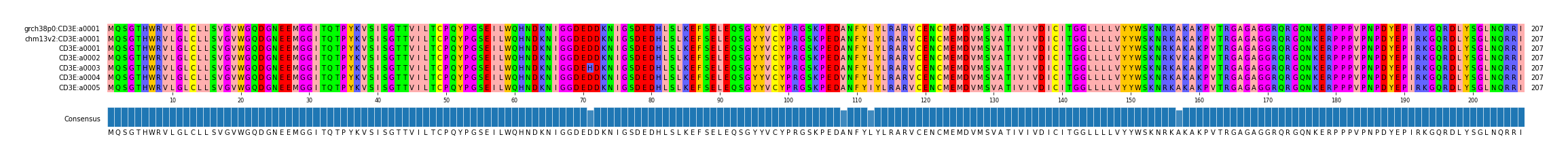 Multiple Alignments (by translate haplotype frequency)
