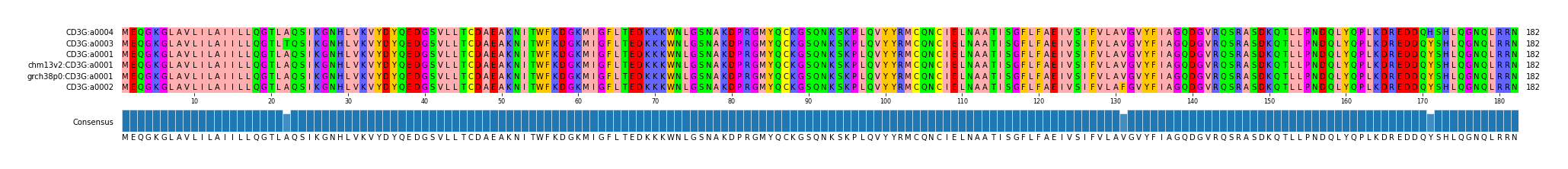 Multiple Alignments (by translate haplotype similarity)