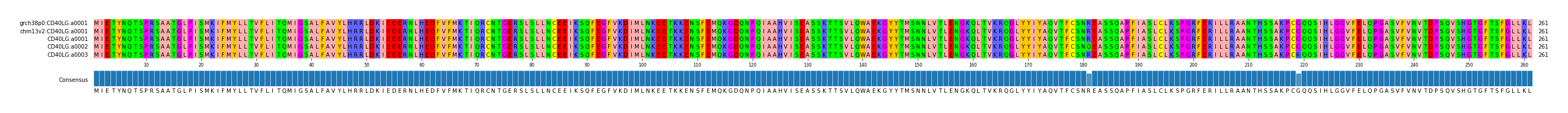 Multiple Alignments (by translate haplotype frequency)