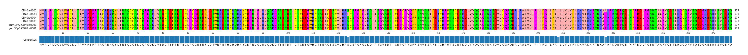 Multiple Alignments (by translate haplotype similarity)