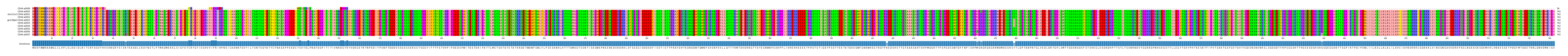 Multiple Alignments (by translate haplotype similarity)
