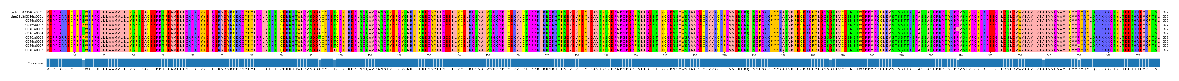 Multiple Alignments (by translate haplotype frequency)