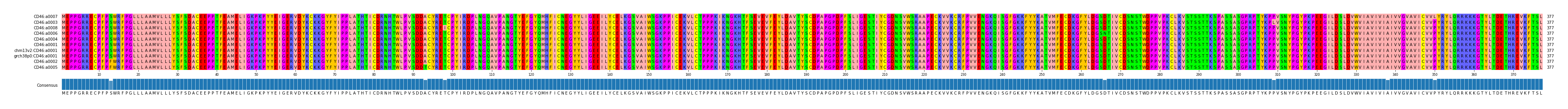 Multiple Alignments (by translate haplotype similarity)
