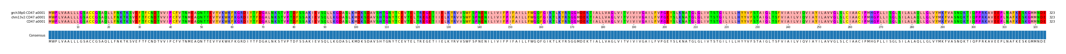 Multiple Alignments (by translate haplotype similarity)