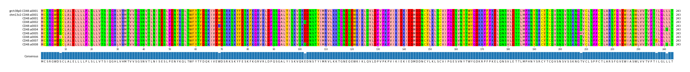 Multiple Alignments (by translate haplotype frequency)