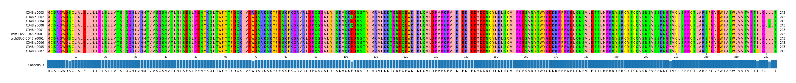 Multiple Alignments (by translate haplotype similarity)