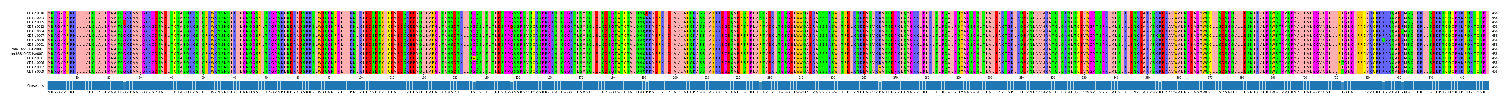 Multiple Alignments (by translate haplotype similarity)