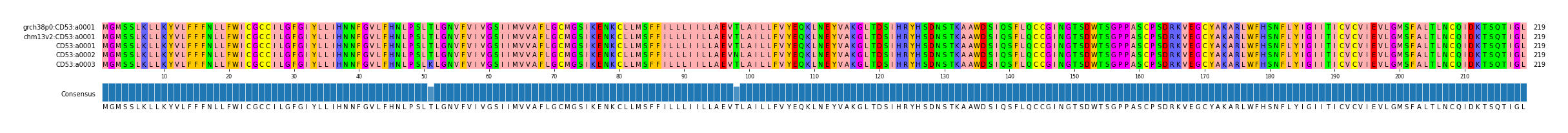 Multiple Alignments (by translate haplotype frequency)