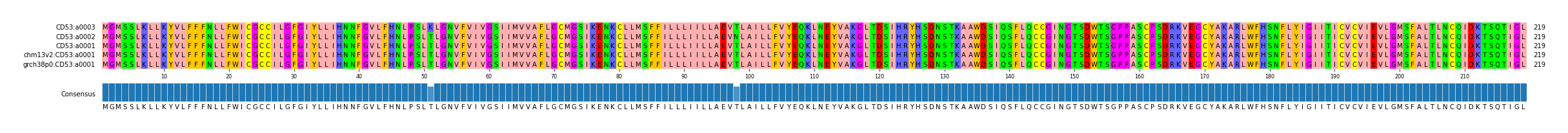 Multiple Alignments (by translate haplotype similarity)