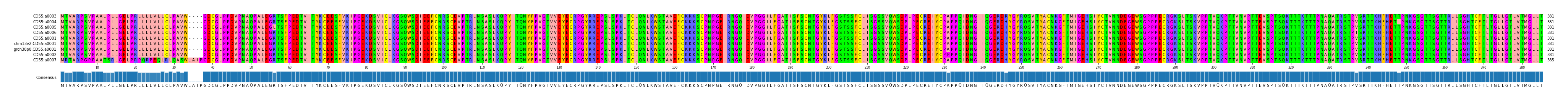 Multiple Alignments (by translate haplotype similarity)
