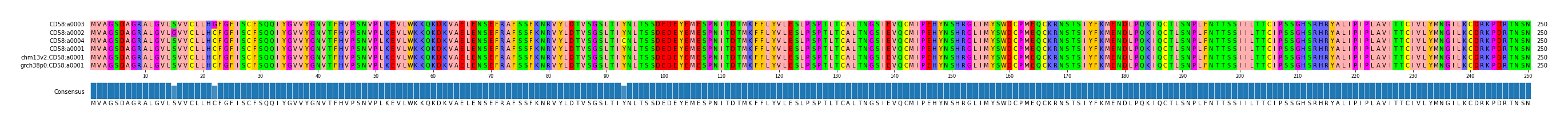 Multiple Alignments (by translate haplotype similarity)