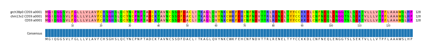 Multiple Alignments (by translate haplotype similarity)