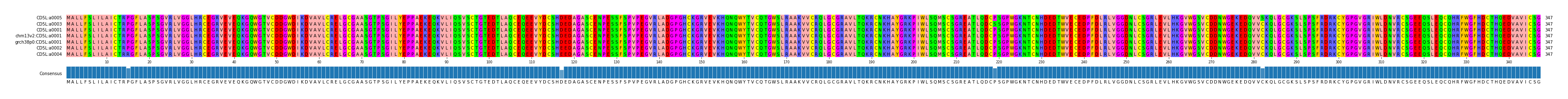 Multiple Alignments (by translate haplotype similarity)