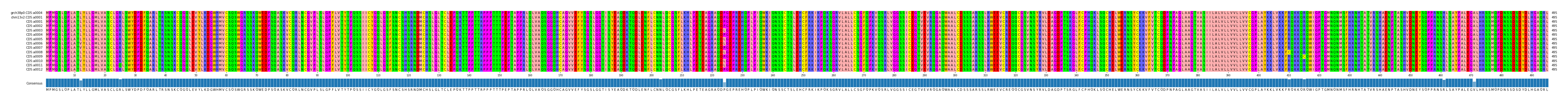 Multiple Alignments (by translate haplotype frequency)