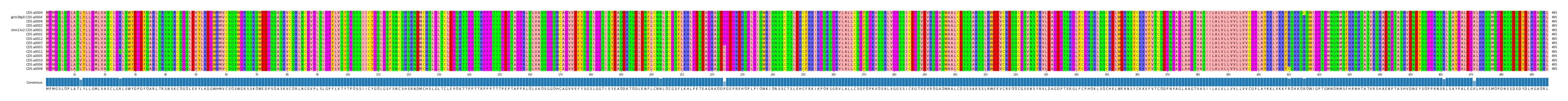 Multiple Alignments (by translate haplotype similarity)