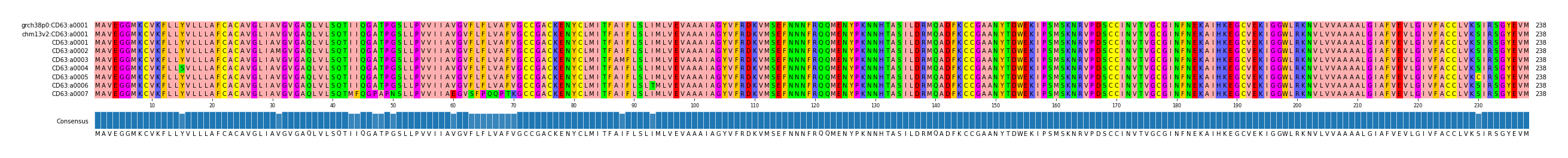 Multiple Alignments (by translate haplotype frequency)
