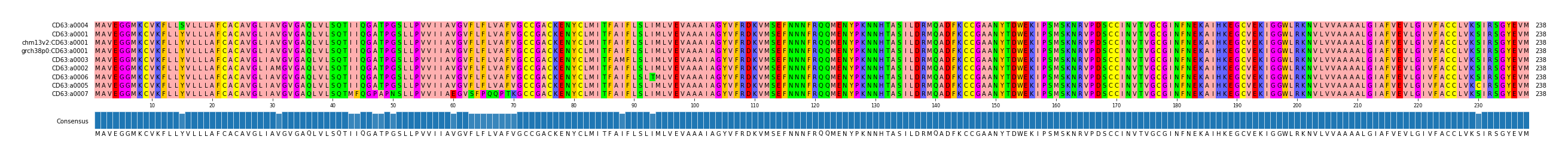 Multiple Alignments (by translate haplotype similarity)