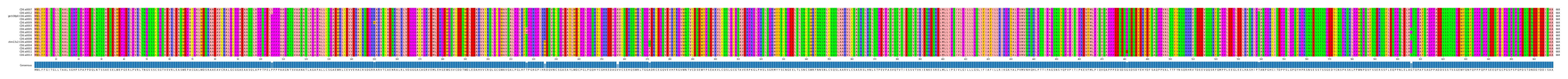 Multiple Alignments (by translate haplotype similarity)