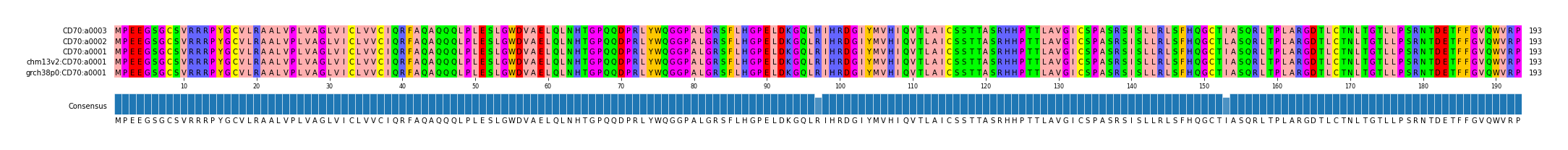 Multiple Alignments (by translate haplotype similarity)