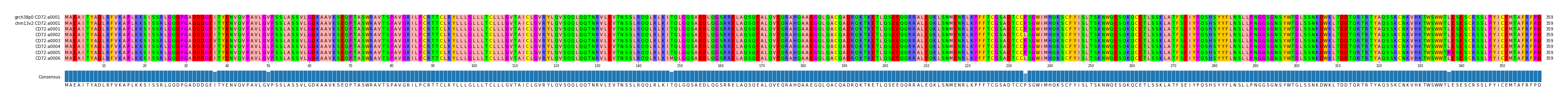 Multiple Alignments (by translate haplotype frequency)