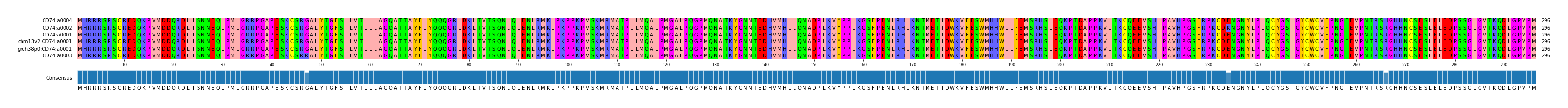 Multiple Alignments (by translate haplotype similarity)
