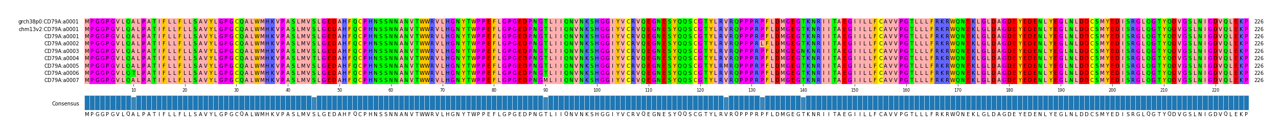 Multiple Alignments (by translate haplotype frequency)