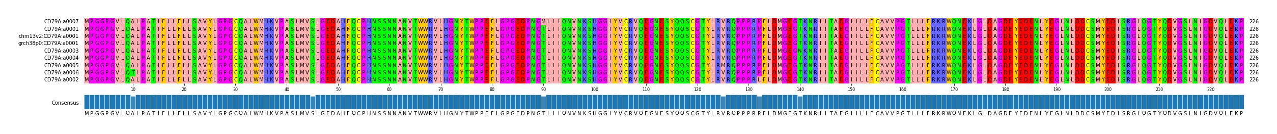 Multiple Alignments (by translate haplotype similarity)