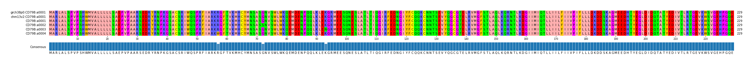 Multiple Alignments (by translate haplotype frequency)