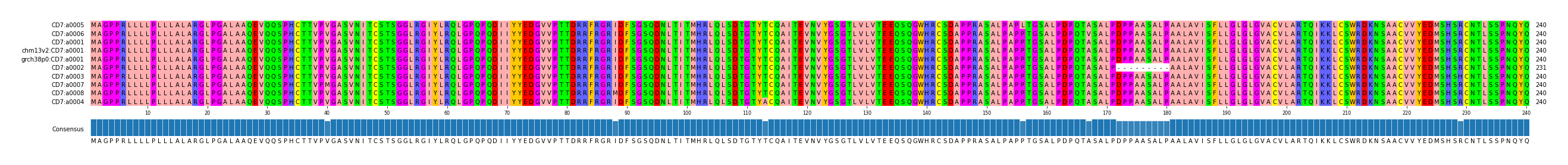 Multiple Alignments (by translate haplotype similarity)