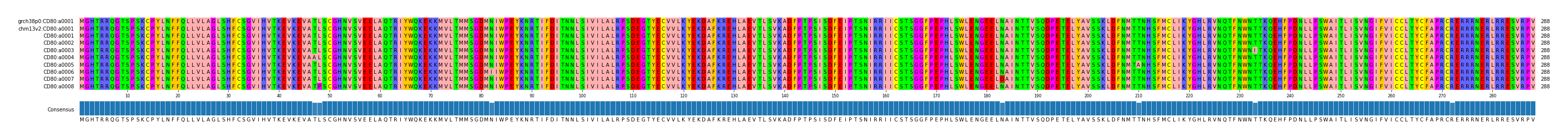 Multiple Alignments (by translate haplotype frequency)