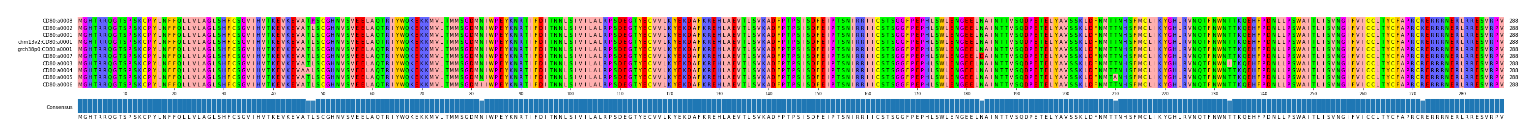 Multiple Alignments (by translate haplotype similarity)