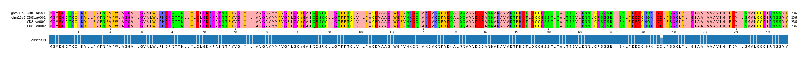 Multiple Alignments (by translate haplotype similarity)