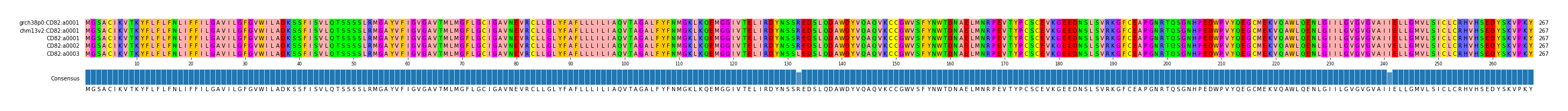 Multiple Alignments (by translate haplotype frequency)