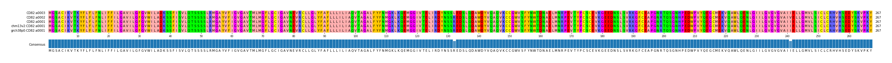 Multiple Alignments (by translate haplotype similarity)