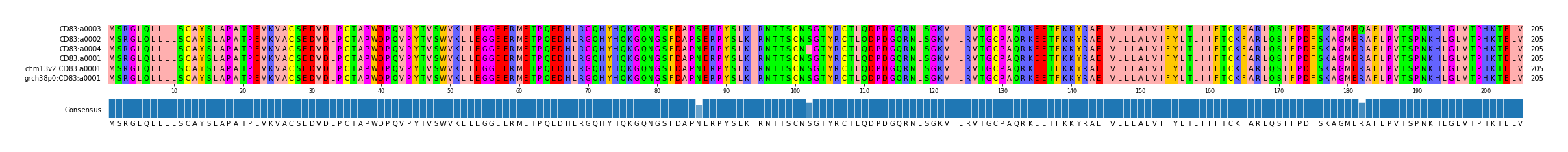 Multiple Alignments (by translate haplotype similarity)