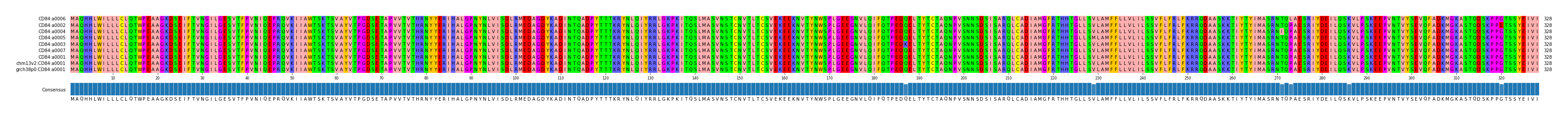 Multiple Alignments (by translate haplotype similarity)
