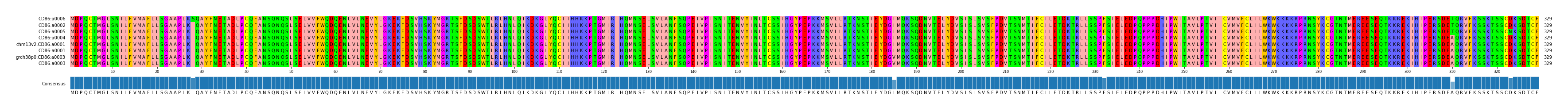 Multiple Alignments (by translate haplotype similarity)