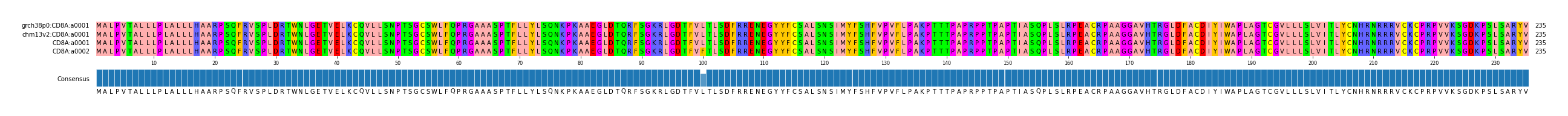 Multiple Alignments (by translate haplotype similarity)