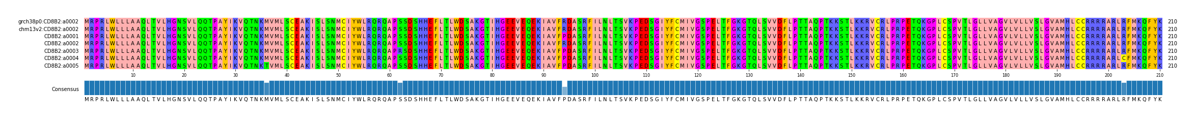 Multiple Alignments (by translate haplotype frequency)