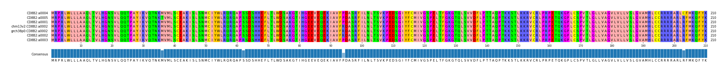 Multiple Alignments (by translate haplotype similarity)
