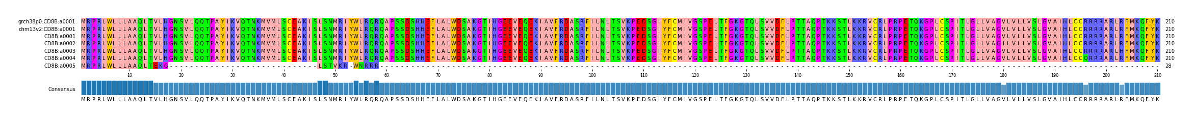 Multiple Alignments (by translate haplotype frequency)