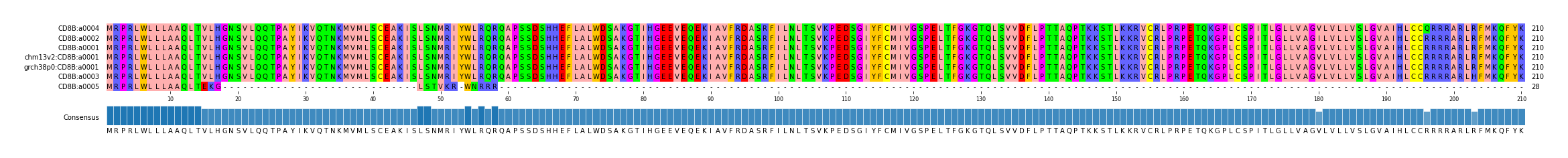 Multiple Alignments (by translate haplotype similarity)