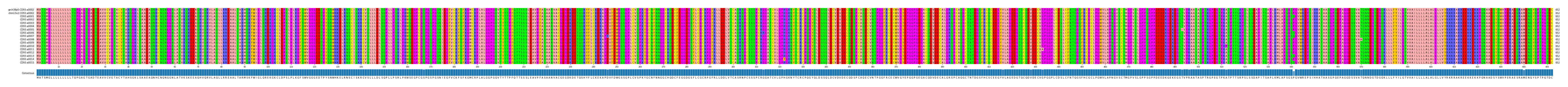 Multiple Alignments (by translate haplotype frequency)