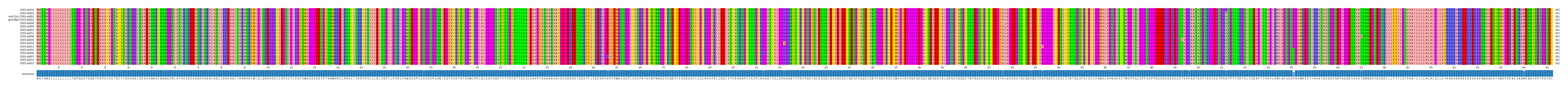 Multiple Alignments (by translate haplotype similarity)