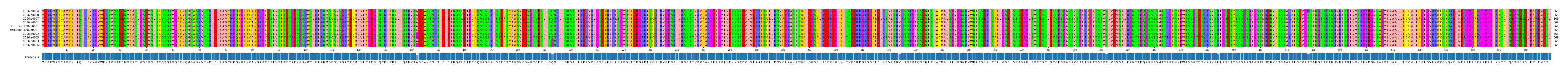 Multiple Alignments (by translate haplotype similarity)