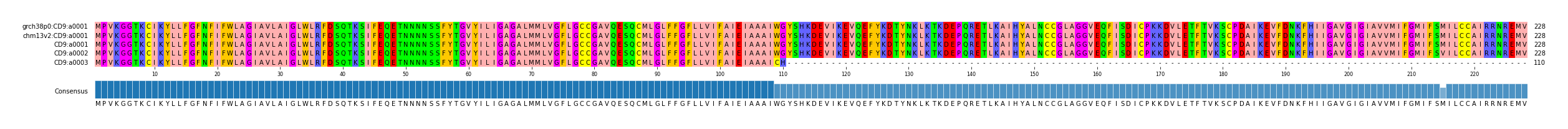 Multiple Alignments (by translate haplotype frequency)